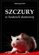 zwierzta, szczur, hodowla