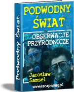 woda, nurkowanie, przyroda