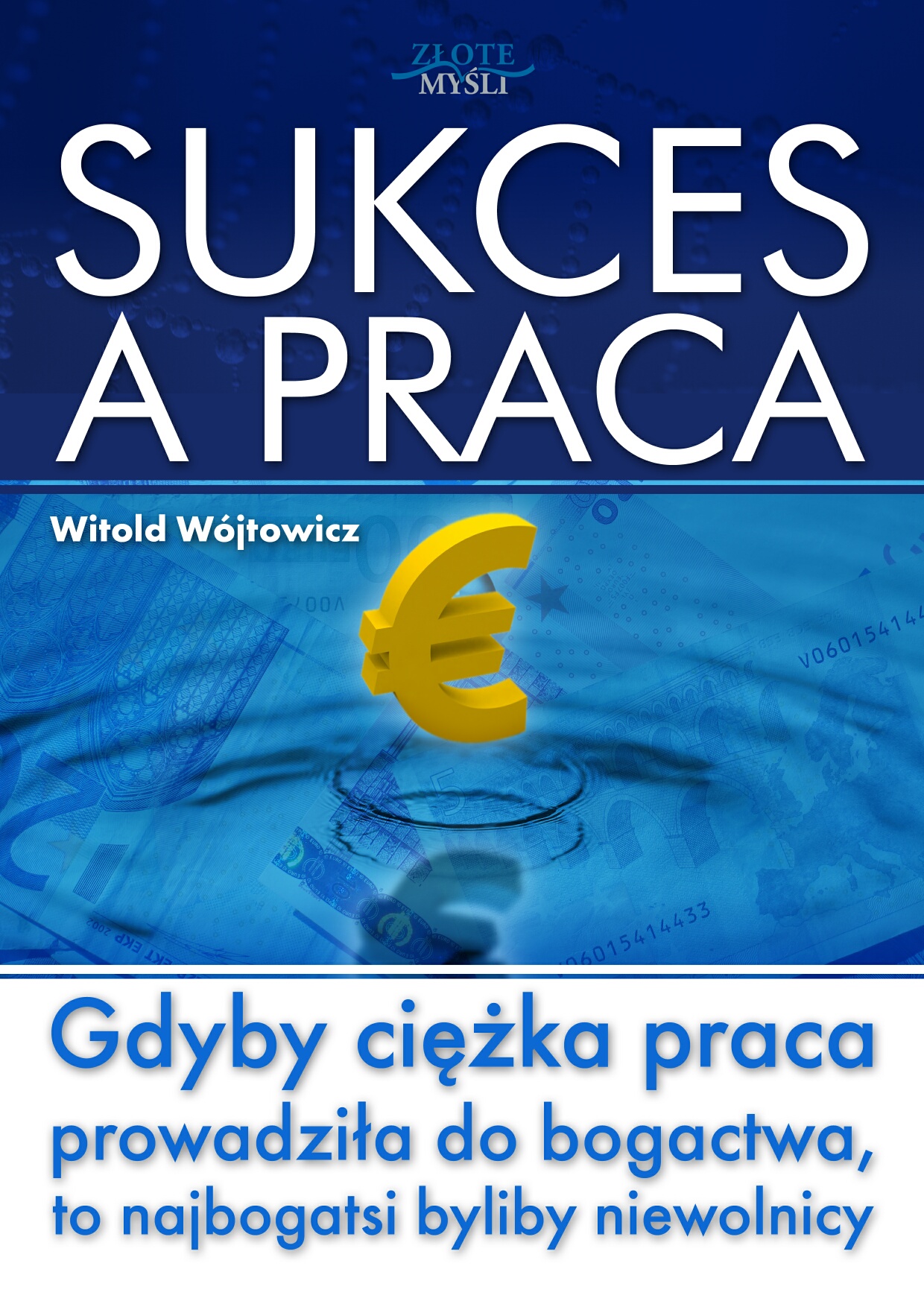 Witold Wójtowicz: Sukces a praca - okładka